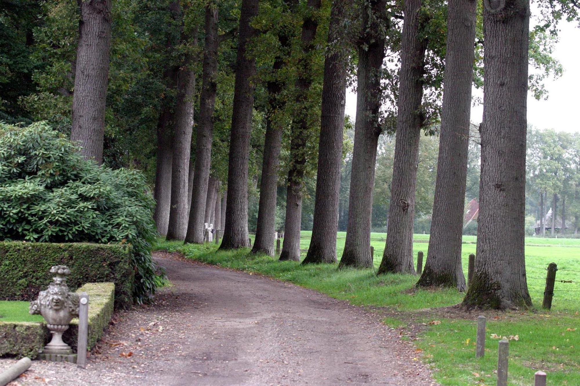Buitenplaats Gerner Dalfsen Exterior foto